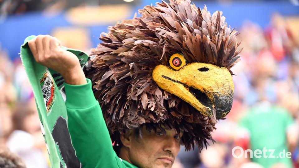 So bunt feieren die Fußball-Fans ihre WM  Federico Gambarini/dpa