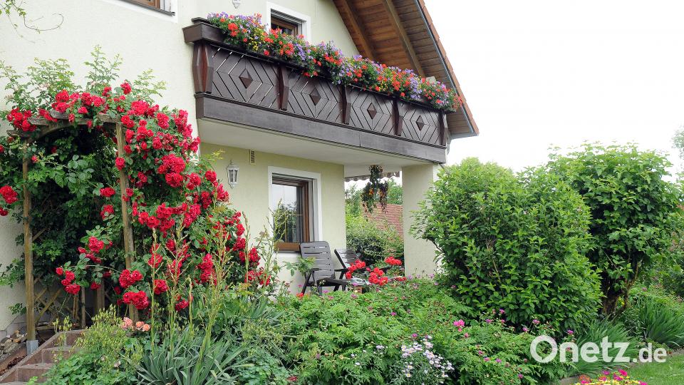 Beim Tag der offenen Gartentür öffnen am Sonntag, 24. Juni, mehrere Familien in Schwend/Birgland ihre grünen Oasen für Interessierte. Stephan Huber