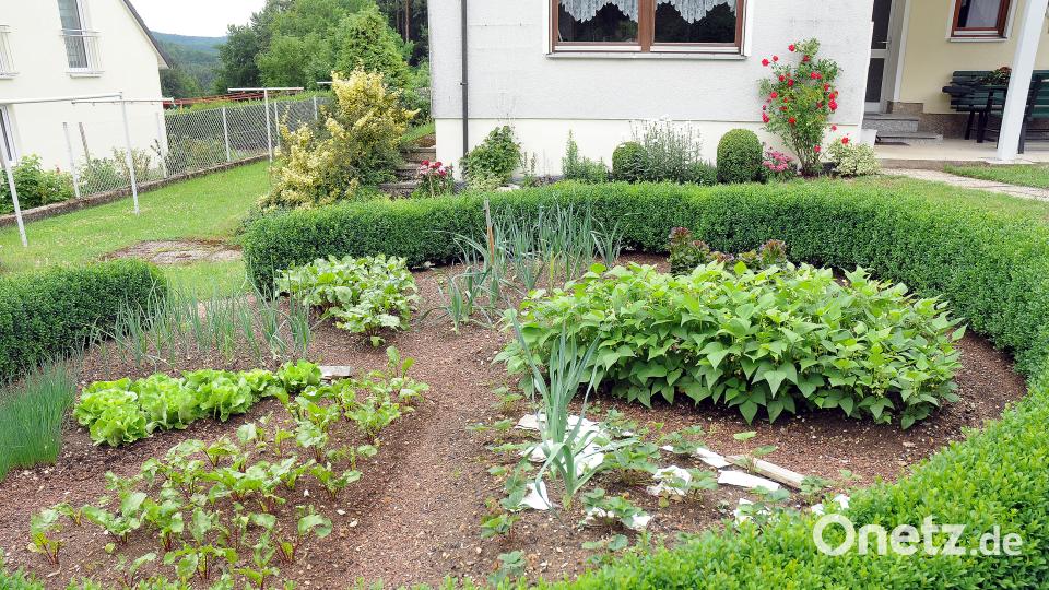 Beim Tag der offenen Gartentür öffnen am Sonntag, 24. Juni, mehrere Familien in Schwend/Birgland ihre grünen Oasen für Interessierte. Stephan Huber