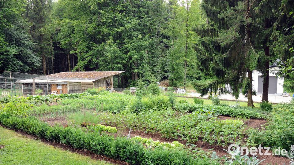 Beim Tag der offenen Gartentür öffnen am Sonntag, 24. Juni, mehrere Familien in Schwend/Birgland ihre grünen Oasen für Interessierte. Stephan Huber