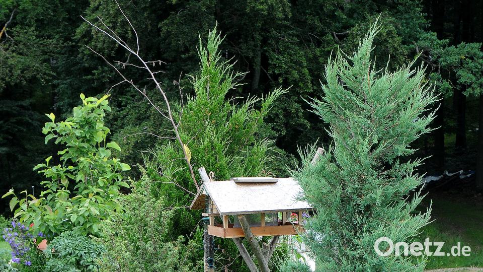 Beim Tag der offenen Gartentür öffenen am Sonntag, 24. Juni, mehrere Familien in Schwend/Birgland ihre grünen Oasen für Interessierte. Stephan Huber