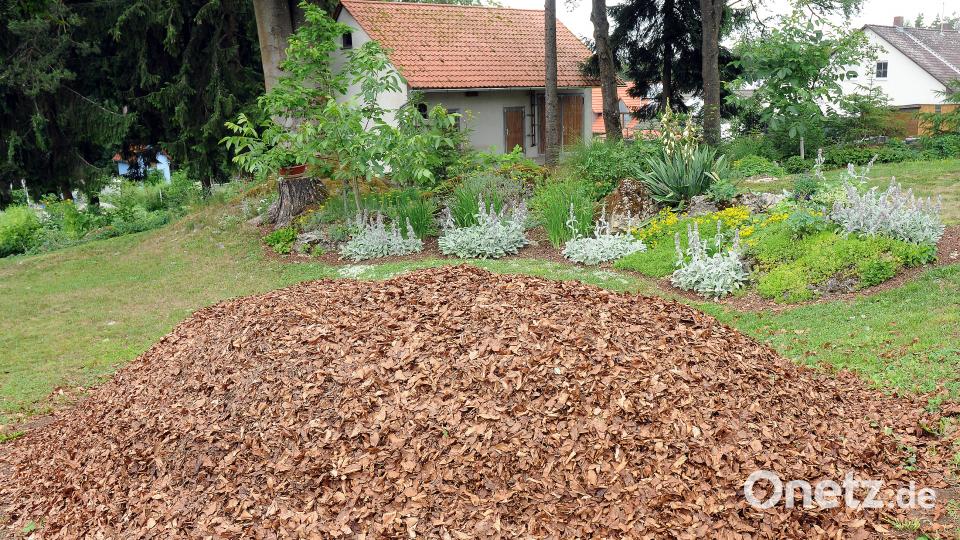 Beim Tag der offenen Gartentür öffnen am Sonntag, 24. Juni, mehrere Familien in Schwend/Birgland ihre grünen Oasen für Interessierte. Stephan Huber