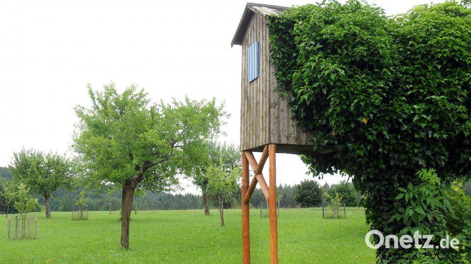 Beim Tag der offenen Gartentür öffnen am Sonntag, 24. Juni, mehrere Familien in Schwend/Birgland ihre grünen Oasen für Interessierte. Stephan Huber