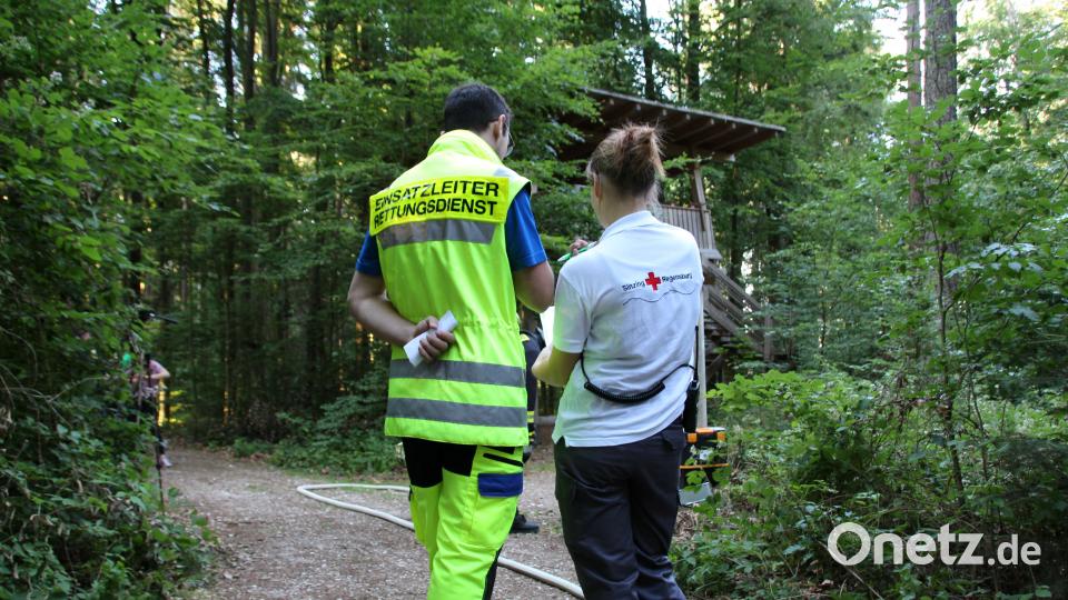 BRK-Bereitschaften und Feuerwehren üben in Regensburg den Ernstfall. Alexander Auer