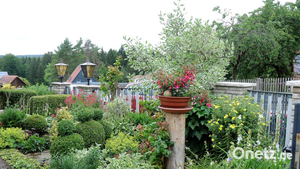Beim Tag der offenen Gartentür öffnen am Sonntag, 24. Juni, mehrere Familien in Schwend/Birgland ihre grünen Oasen für Interessierte. Stephan Huber