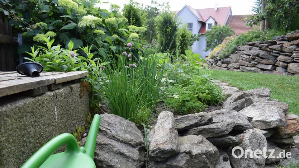 Die Familie Benkner stellt ihren Privatgarten beim Tag der offenen Gartentüre 2018 zum ersten Mal zur Verfügung Schulze, Lena