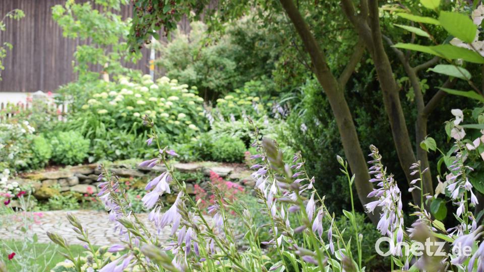 Die Familie Benker stellt ihren Privatgarten beim Tag der offenen Gartentüre 2018 zum ersten Mal zur Verfügung Schulze, Lena [SZL] (lena.schulze@oberpfalzmedien.de)