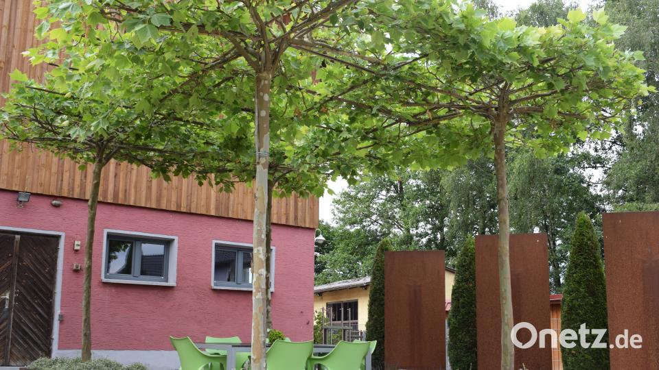 Die Familie Benkner stellt ihren Privatgarten beim Tag der offenen Gartentüre 2018 zum ersten Mal zur Verfügung Schulze, Lena