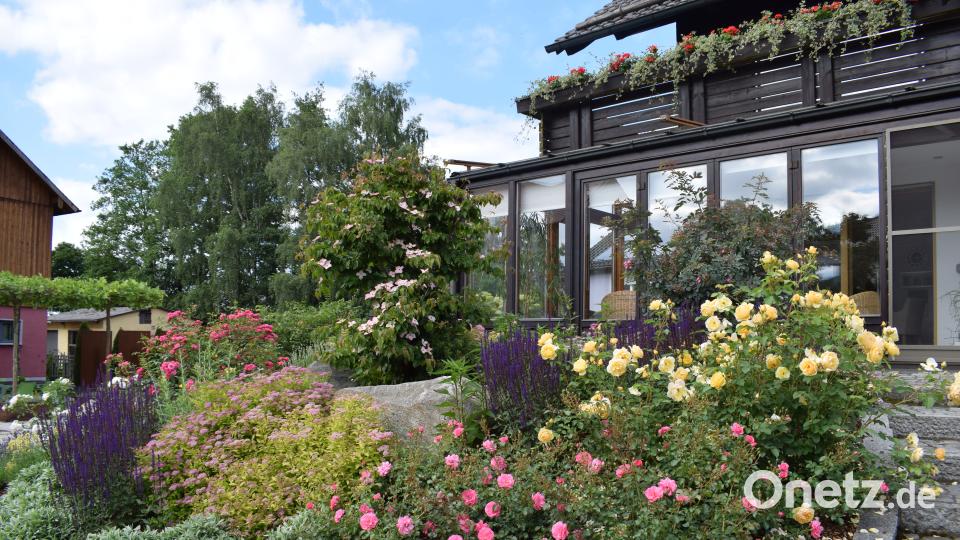 Die Familie Benkner stellt ihren Privatgarten beim Tag der offenen Gartentüre 2018 zum ersten Mal zur Verfügung Schulze, Lena