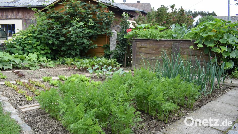 Die Familie Benkner stellt ihren Privatgarten beim Tag der offenen Gartentüre 2018 zum ersten Mal zur Verfügung Schulze, Lena
