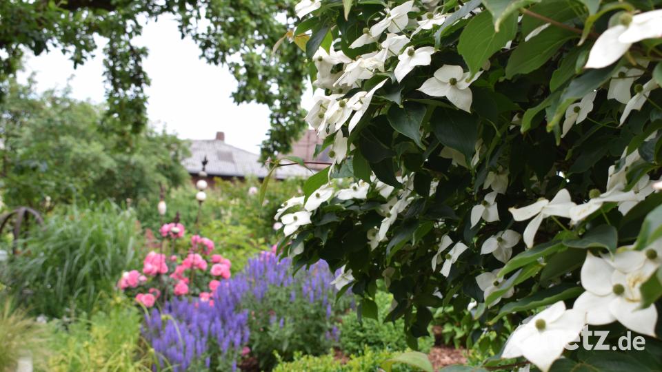 Die Familie Benkner stellt ihren Privatgarten beim Tag der offenen Gartentüre 2018 zum ersten Mal zur Verfügung Schulze, Lena