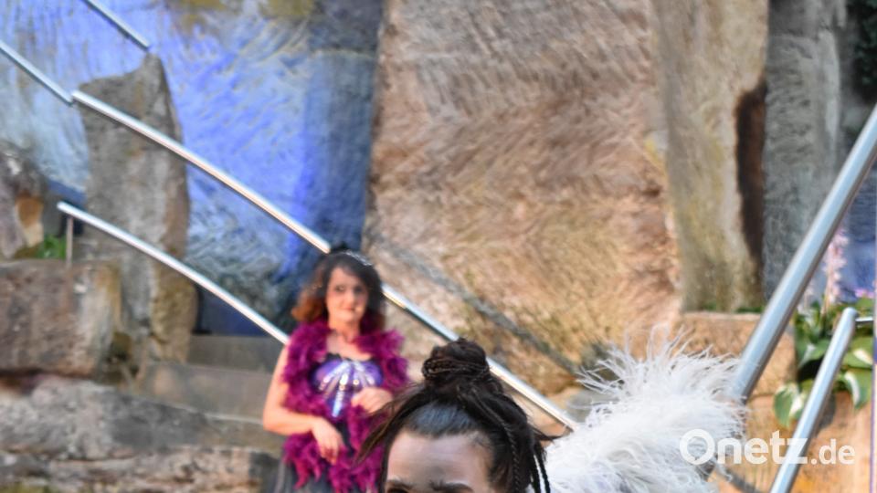 Der Puck erbringt akrobatische Leistungen. rgr