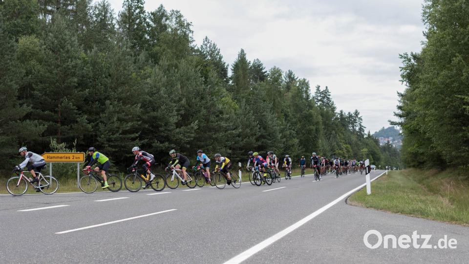 Panoramatour Trott, David