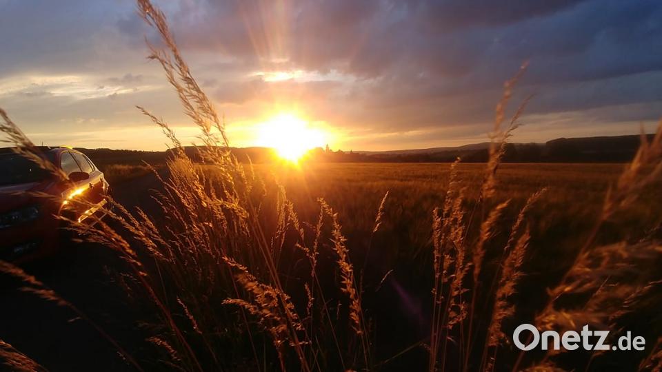 Die Farben des Sommers. Lisa Bäumler