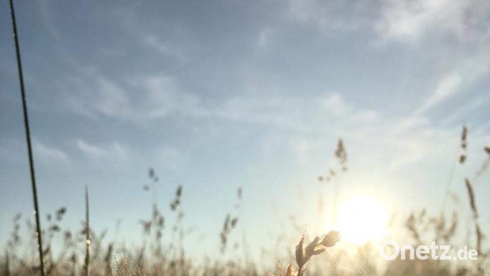 Die Farben des Sommers Karina Ma