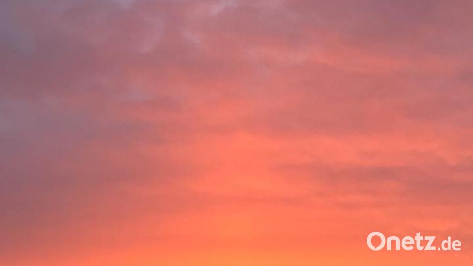 Die Farben des Sommers Ulrike Guttenberger