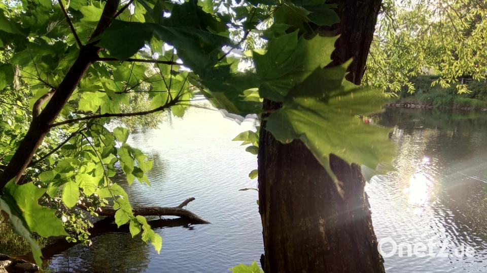 Die Farben des Sommers. Jan Schießl