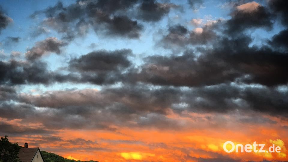 Farben des Sommers Nico Nitsche