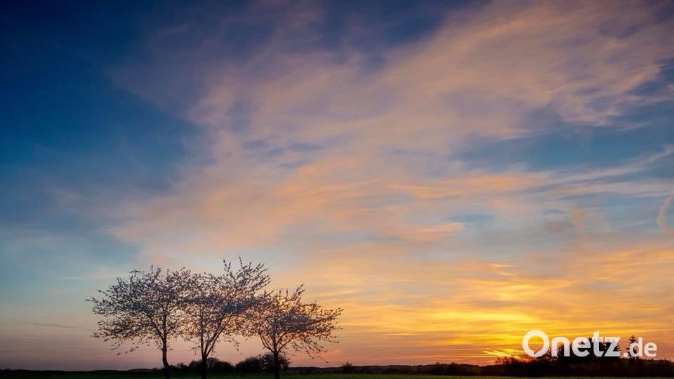 Die Farben des Sommers. Thomas Richter