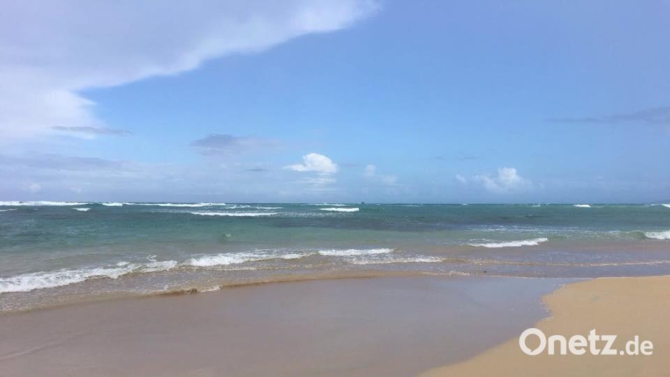 Die Farben des Sommers Markus Stefan Zimmerhackl