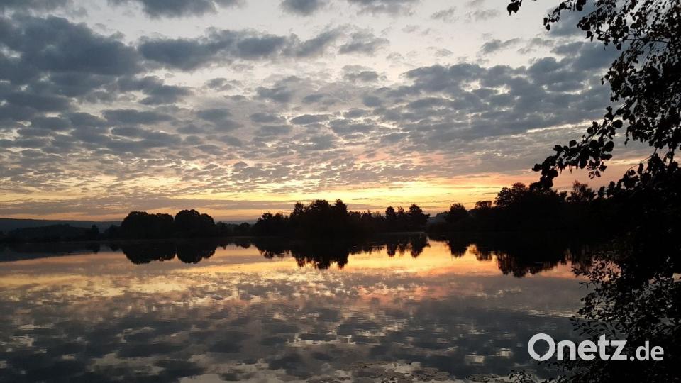 Die Farben des Sommers. Tessa Krause