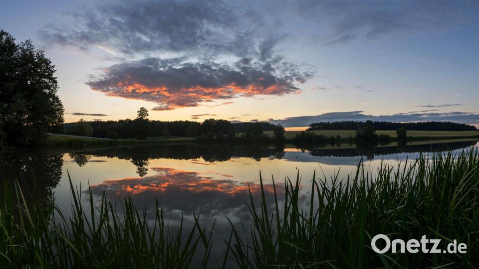 Die Farben des Sommers Christoph Traub