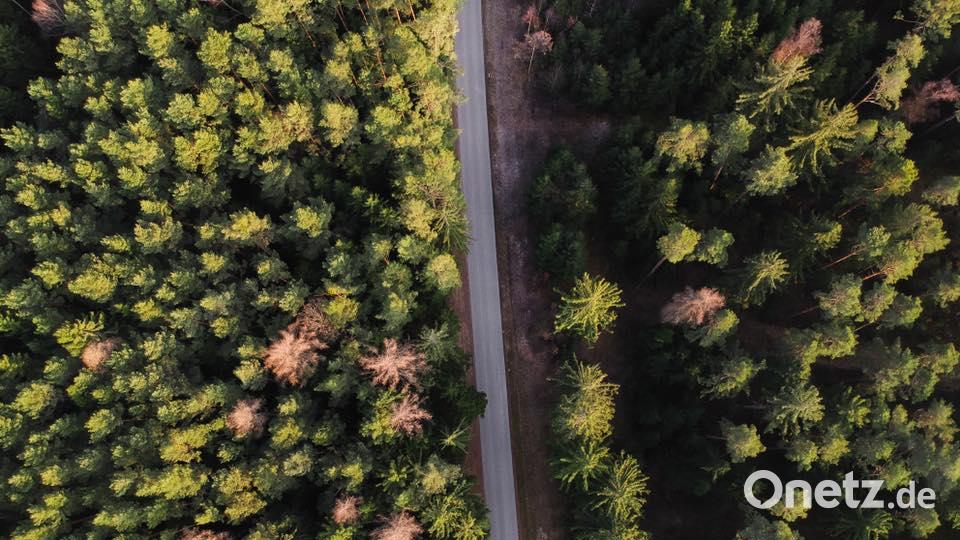 Farben des Sommers Benjamin Ebi