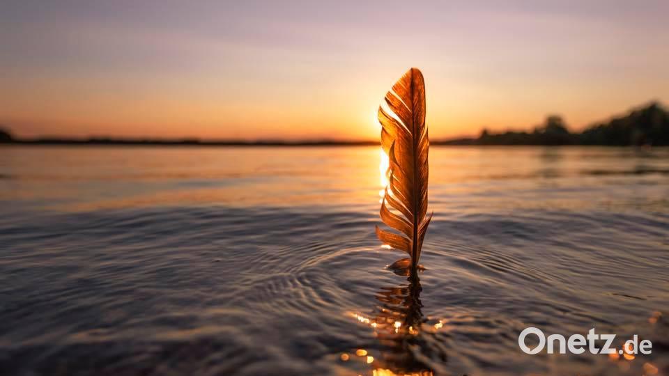 Die Farben des Sommers Melanie Martinu
