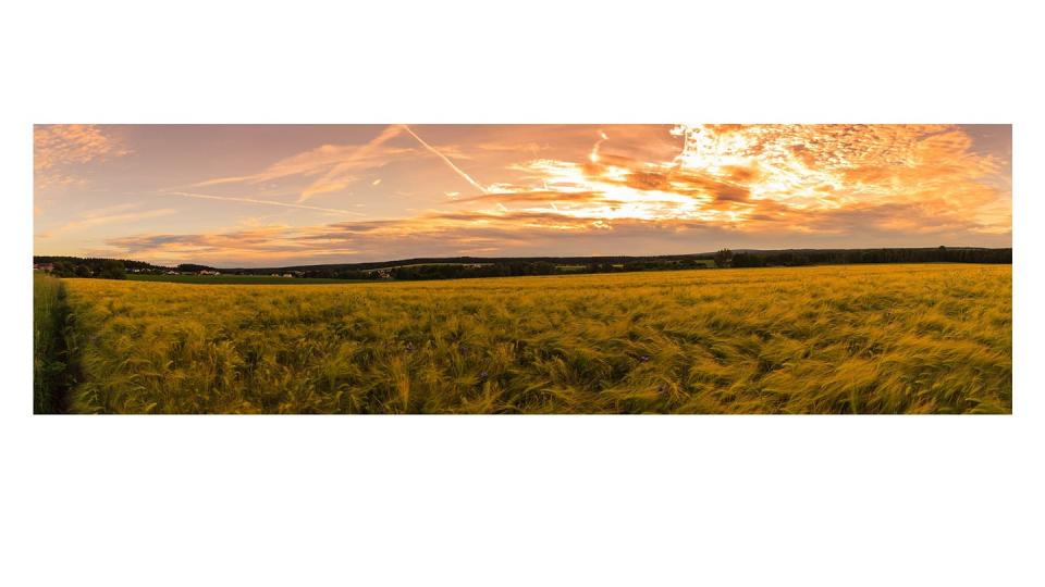 Farben des Sommers Bastian Götz