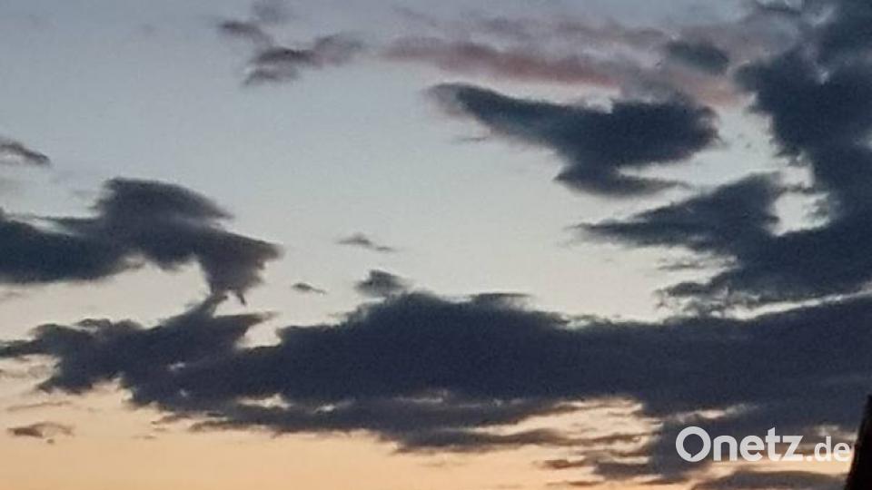 Die Farben des Sommers Sandra Herrmann