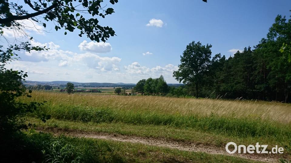 Die Farben des Sommers Sarah Stefanie