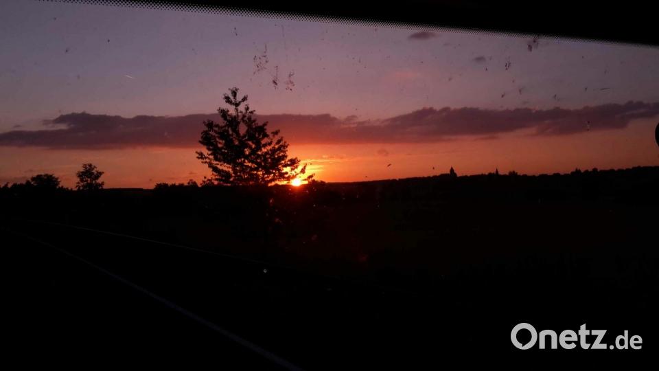 Farben des Sommers Maria Buchner