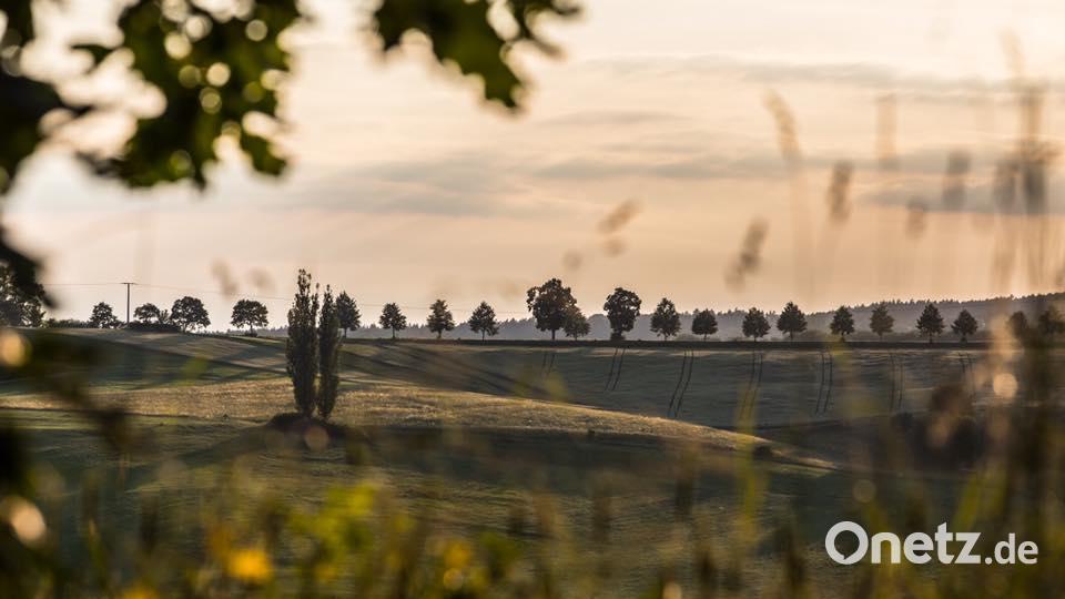 Die Farben des Sommers Floh Kasper