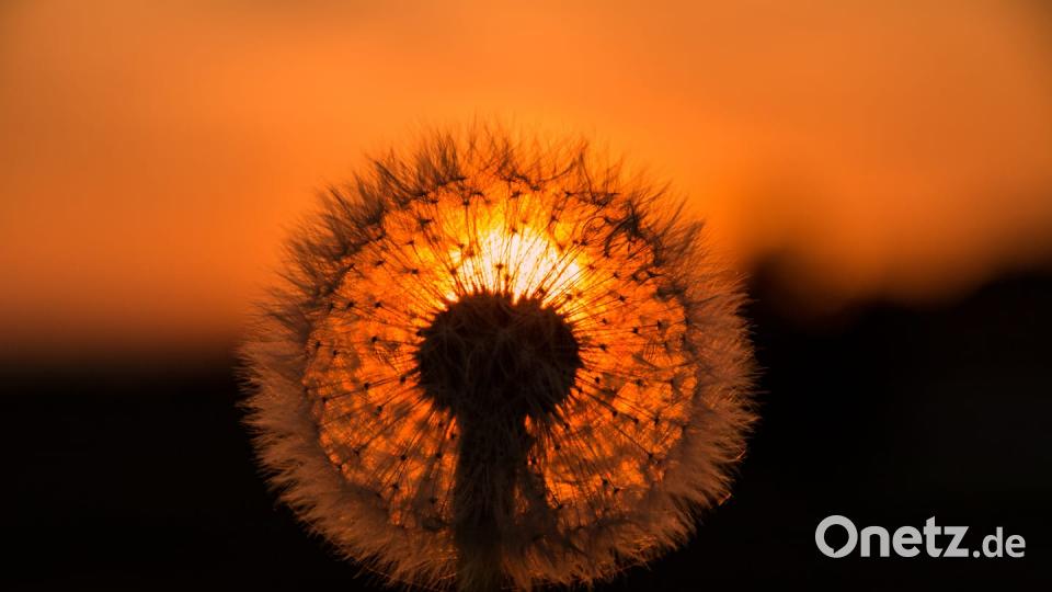 Farben des Sommers Bastian Götz