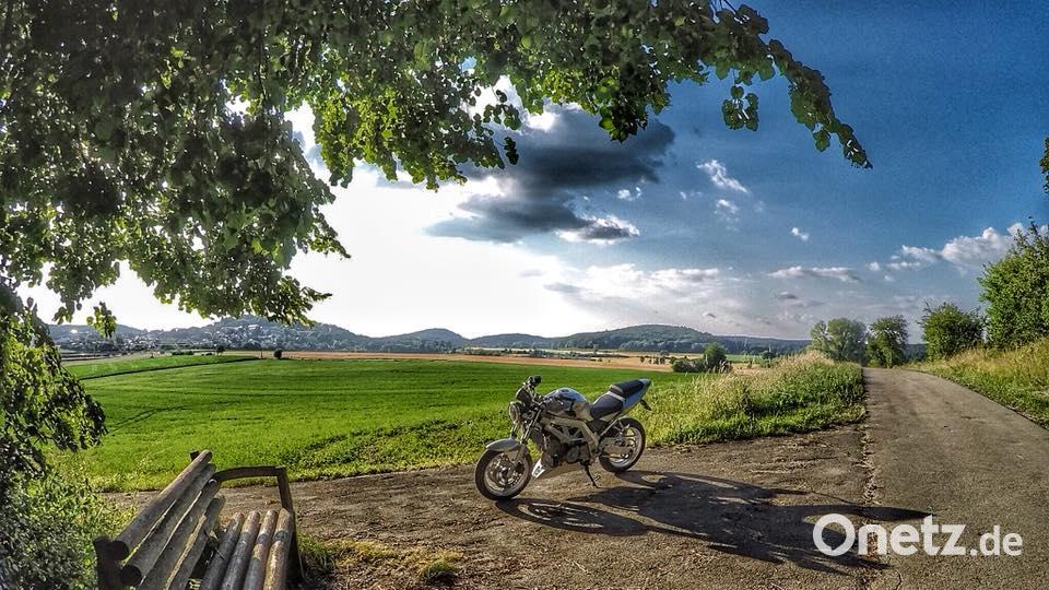 Die Farben des Sommers Max Falk