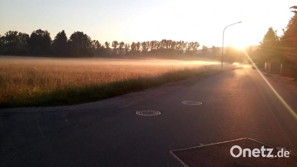 Die Farben des Sommers Sebastian Weiss