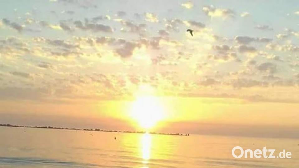 Die Farben des Sommers Andrea Götz