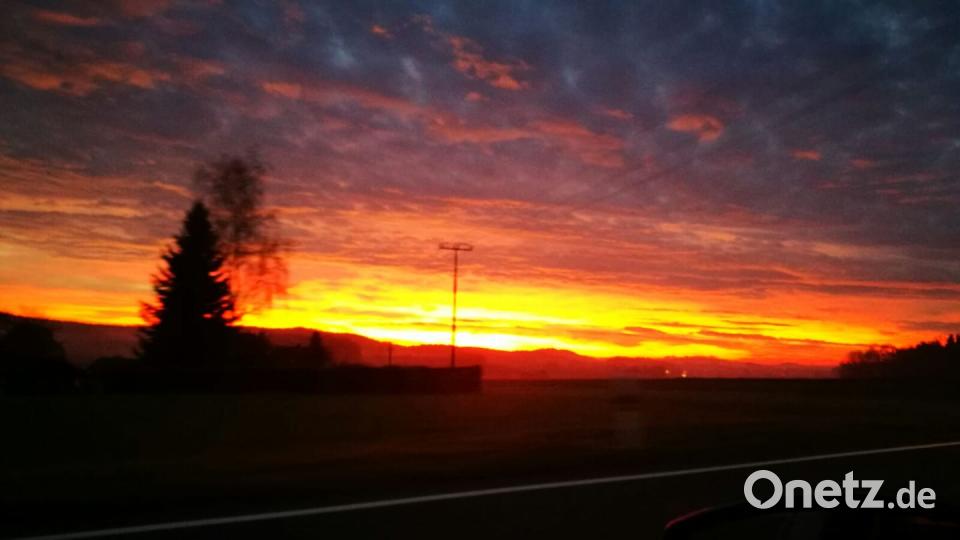 Farben des Sommers Elena Heldrich