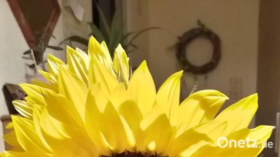 Die Farben des Sommers Andrea Sommer