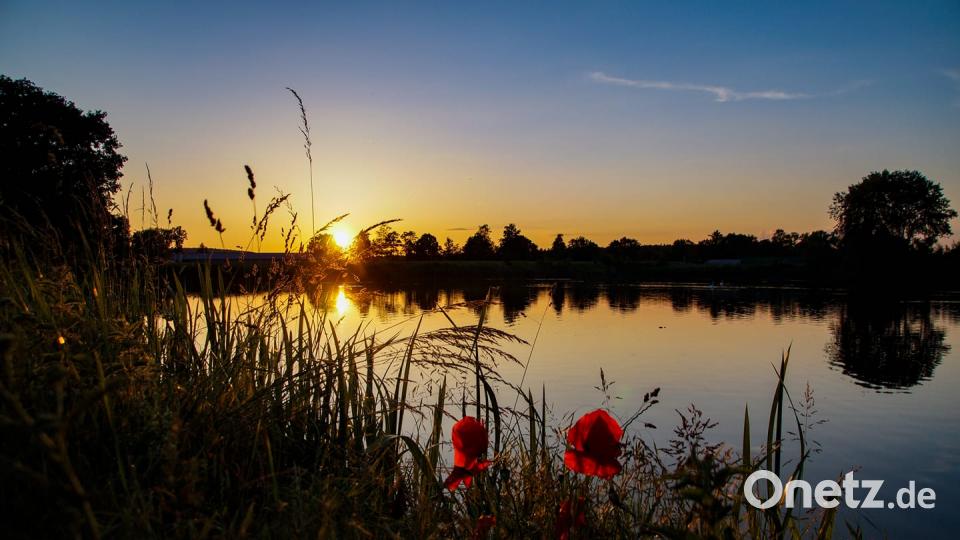 Farben des Sommers Steff Knorr