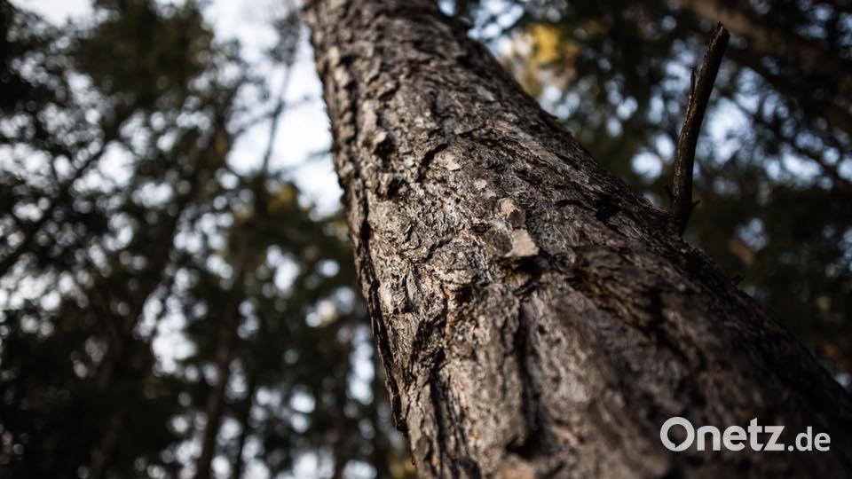 Farben des Sommers Benjamin Ebi