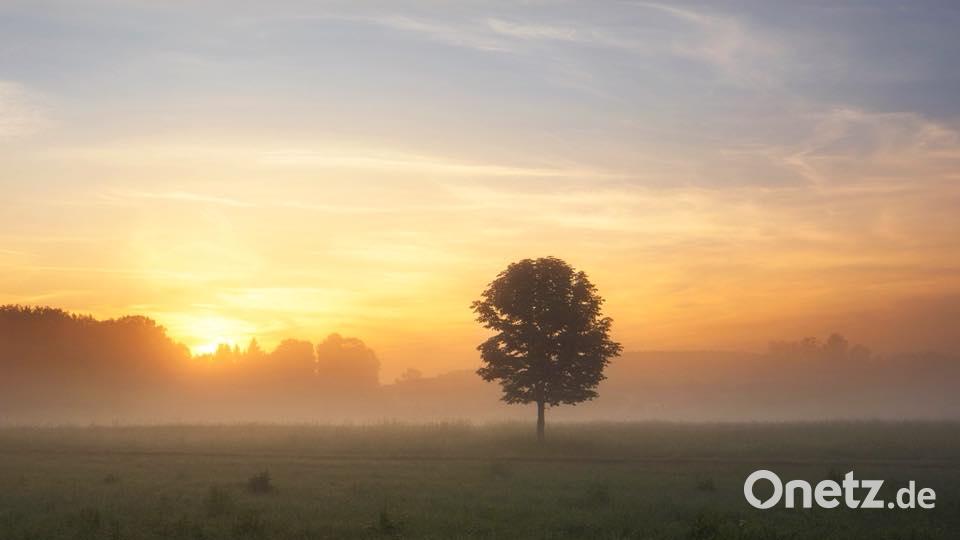 Die Farben des Sommers Lena Held