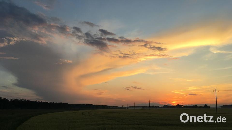 Die Farben des Sommers Steffani Hofrichter