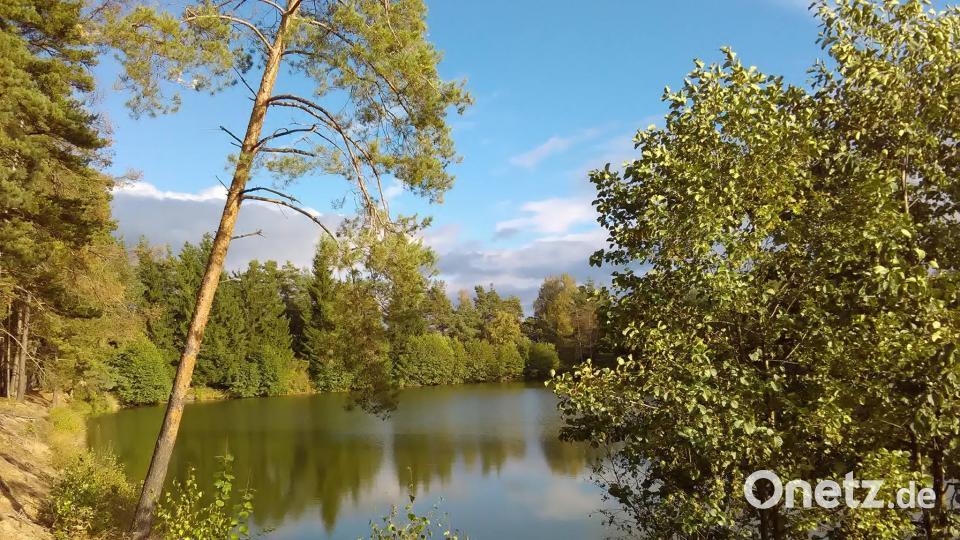 Die Farben des Sommers. Claudia Maier