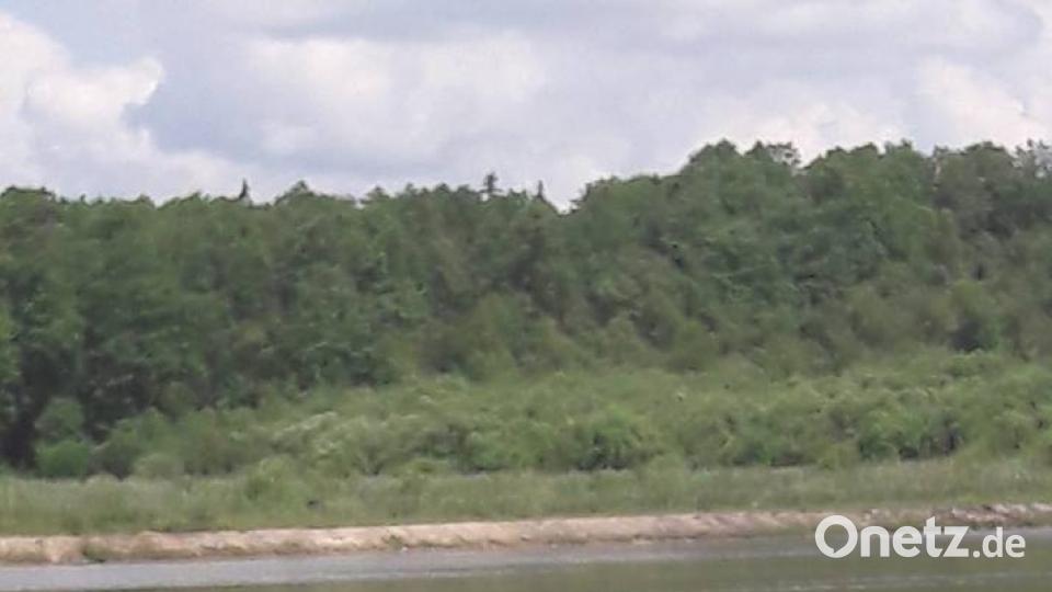 Farben des Sommers Nicole Woldert