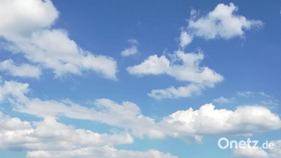 Die Farben des Sommers. Melanie Haslop