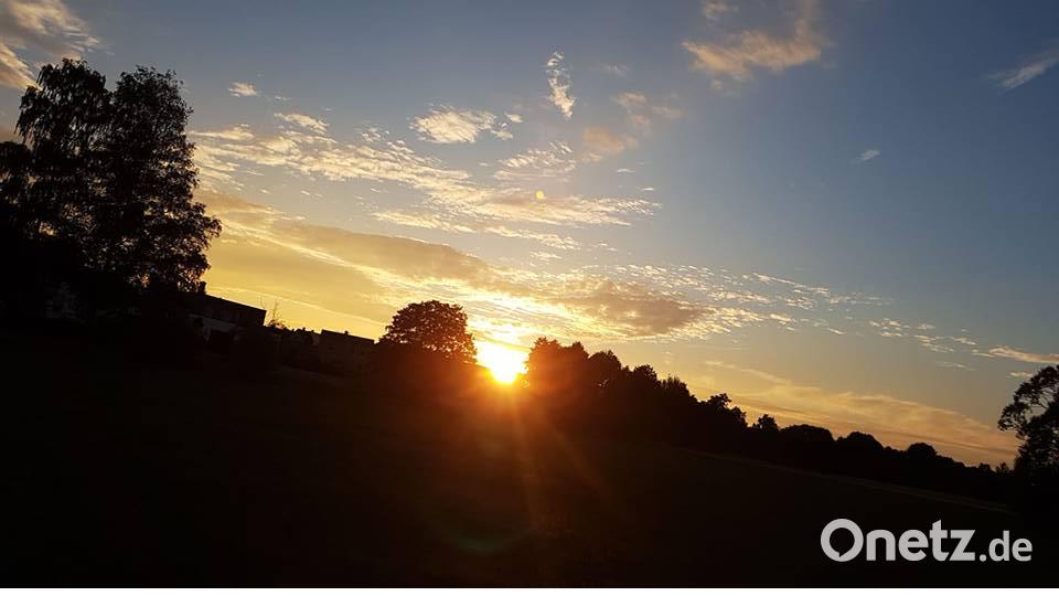 Die Farben des Sommers. Franzi Schultes