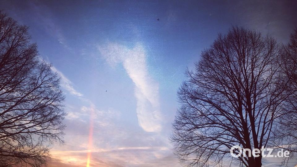 Die Farben des Sommers Floh Kagi