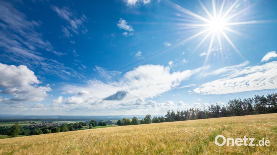Farben des Sommers Peter Müller