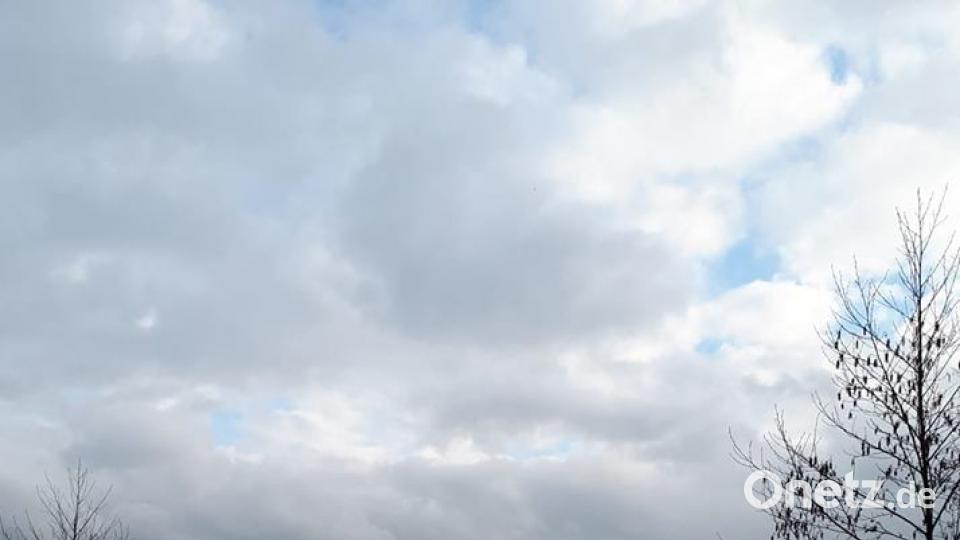 Farben des Sommers Sabrina Reuab